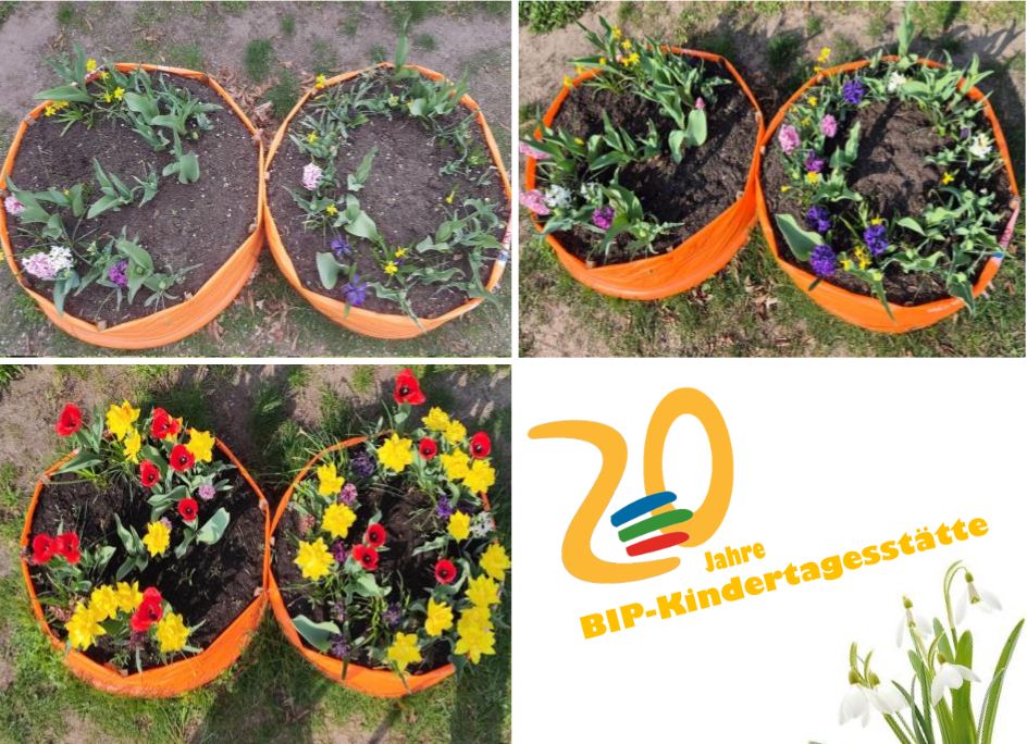 Frühlingsbeet in voller Pracht