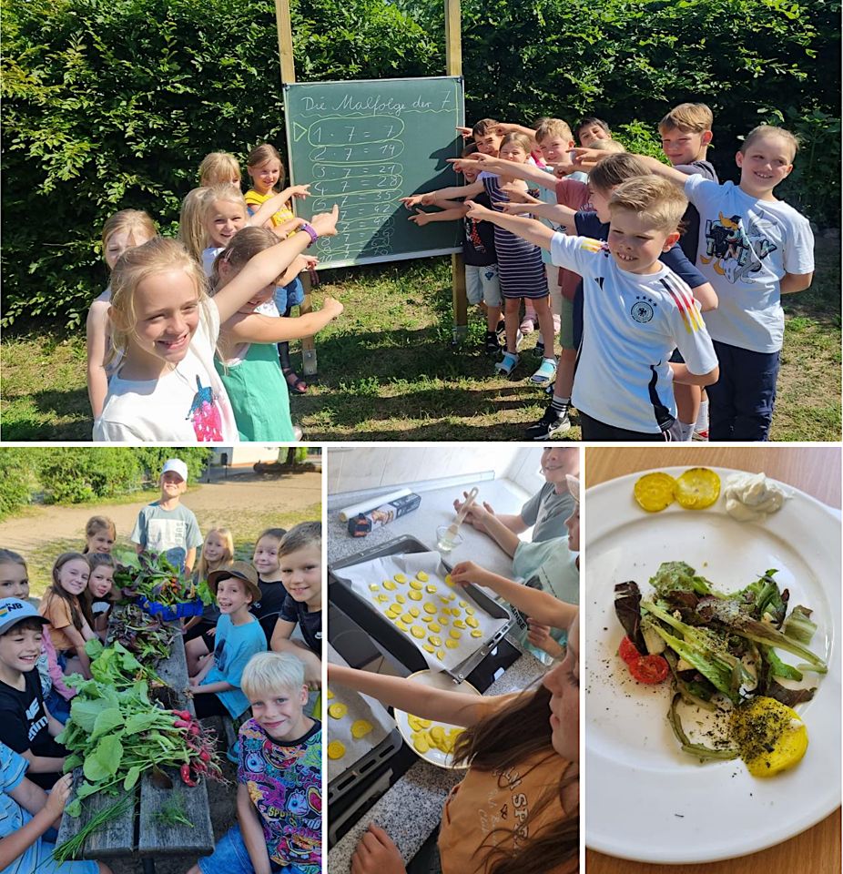 Grünes Klassenzimmer und Ernte im Schulgarten