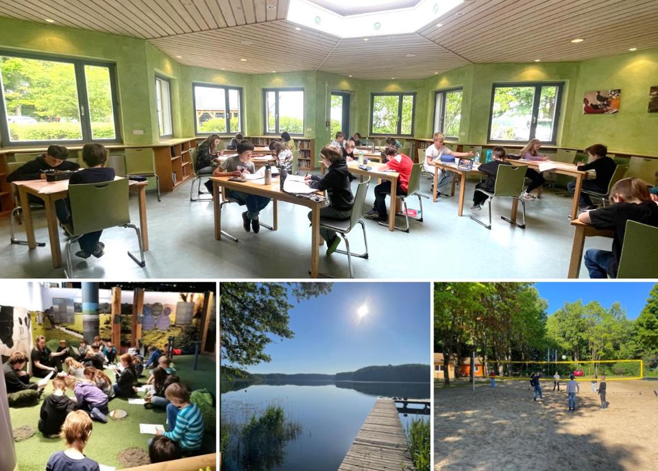 Matheolympiade der Mehlhorn-Stiftung – 2025 in Mirow