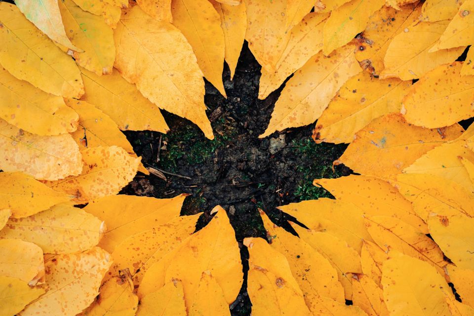 Schöne Herbstferien